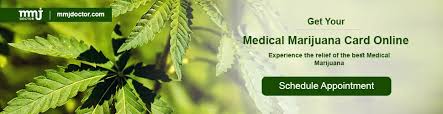 Patients who choose to use our online consultation will receive th 4 Practical Steps To Get A Medical Marijuana Card In Maine Mmj Doctor
