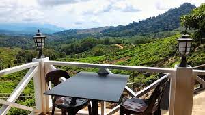 Km 17, jalan ranau/sandakan kampung nalapak beg berkunci no.2, 89309, ranau, sabah, malaysia. Sabah Tea Garden Day Tours Ranau 2021 All You Need To Know Before You Go With Photos Ranau Malaysia Tripadvisor