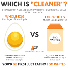 Pin On Muscle Building Fat Loss Tips