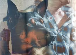 Nullawil Silo Art Trail