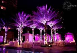 Wedding Rentals Wedding Reception Lighting Wedding Lights Outdoor Wedding Lighting