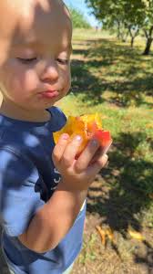 Jennifer Hurley Klever