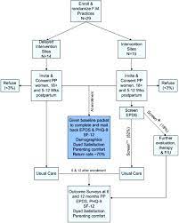 These mothers might cope with their baby and with. Concordance Of Edinburgh Postnatal Depression Scale Epds And Patient Health Questionnaire Phq 9 To Assess Increased Risk Of Depression Among Postpartum Women American Board Of Family Medicine