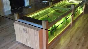 We carry all sorts of unique aquariums, from coffee table fish tanks to clock tower fish tanks and unique aquascapes or aquatowers. Dining Room Table Aquarium Youtube