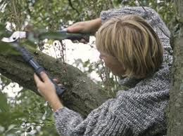 We did not find results for: Comment Elaguer L Arbre Des Voisins