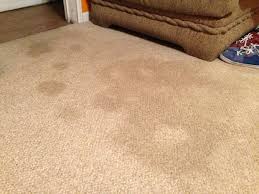 Using an enzymatic cleaner is the best way to help break down the proteins left over from the urine, removing the smell as well as the impulse for the pet to urinate in the same spot. How To Remedy Pet Urine Issues On Carpet
