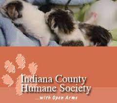 Ichs One Of Our Great Partner Shelters Humane Society Animals Friends Indiana