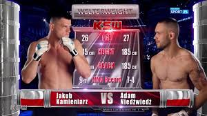 Sprawdź wszystkich zwycięzców gali ksw 62. Ksw 61 Wyniki I Skroty Walk Wideo Polsat Sport