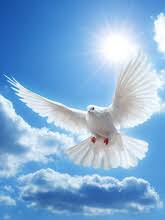 Obituary information for Samuel V. Haley