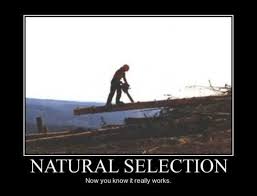 Image result for Natural funny image