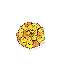 Marigolds Flower Vinyl Sticker Etsy In 2021 Marigold Stickers Marigold Flower Marigold