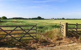 What To Consider When Buying Vacant Land To Build Your Dream Home