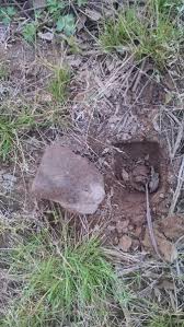 Check spelling or type a new query. The Tell Tell Signs Of A Cs Hut Site Fire Pit Relic Hunting Collecting
