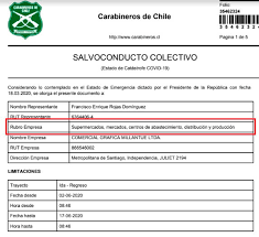 Pasear a mascotas o animales que estén bajo su cuidado, con desplazamiento reducido. Permisos Ideologicamente Falsos La Trampa De Los Empresarios Para Trabajar Durante La Crisis