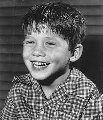 The Andy Griffith Show