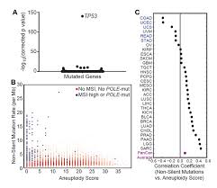 Rafael bortone is on facebook. Genomic And Functional Approaches To Understanding Cancer Aneuploidy Abstract Europe Pmc