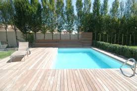 Bild Zu Schwimmbad Mit Liegeflache Aus Ipe Holz Schwimmbader Holzterrasse Holz
