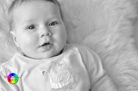 WinningWednesday- Canvas Design Review