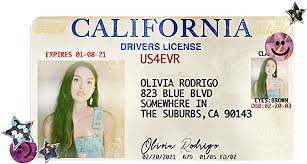 We've produced a series of assets to promote olivia's official 'drivers license' merch range for polydor records. Drivers License Olivia Rodrigo Merch