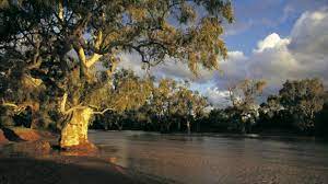 Gavin is a qualified teacher who taught in a number of schools in western australia and held leadership positions over a 12 year period. Walgett New South Wales Travel Guide And Things To Do