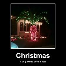 Just Christmas Funny Pictures Funny Pics Lol Humor Funny Funnypictures Fun Palm Tree Christmas Lights Hanging Christmas Lights Christmas Palm Tree
