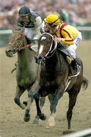 1044 Best The Queen Rachel Alexandra And Her Family Images