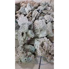 Hasil gambar untuk batu karang terumbu karang taman nasional karang. Batu Karang Laut 2kg 2 Kg Hiasan Aquarium Air Tawar Laut Shopee Indonesia