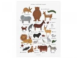 Animal Alphabet Chart Print Animal Alphabet Alphabet