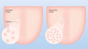So how do you know if you're hiring superstar talent? Supertaster Anatomy The Scientist Magazine