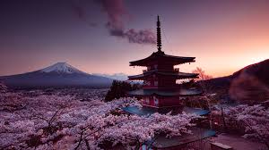 Search free cherry blossom wallpapers on zedge and personalize your phone to suit you. Japanese Cherry Blossom Wallpaper 1920x1080 1920x1080 3e5e5ta Picserio Com