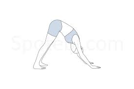 Downward Facing Dog Pose Adho Mukha Svanasana Downward Facing Dog Workout Guide Yoga Poses