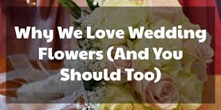 Maybe you would like to learn more about one of these? Wholesale Flowers Fmi Farms