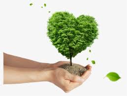 Tree plantation, free stock photos, tree. Background Of Tree Planting Poster Hd Png Download Kindpng