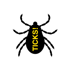 24 видео 1 531 просмотр обновлен 10 апр. Jiminey Kricket Pest Control Offering Solutions For A Pest Free Home 602 230 2043