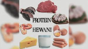 We did not find results for: Kenali Makanan Yang Mengandung Protein Hewani Tinggi Fader Id