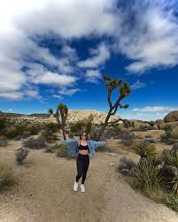 Joshua tree walks into the bar…and becomes the life of the desert party  🏜️🌵it was sedimental