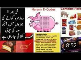 Here we have listed haram and halal e codes list to easily identify pig fat code in any food item. What Are E Codes In Food Are They Haram Or Halal In Urdu Hindi Aviod Share To All Muslims Youtube