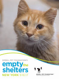 Furkids is participating in the bissell pet foundation's largest empty the shelters event to date. Free Dog Cat Adoptions Dog Cat Pet Adoption Animal Shelter In Buffalo