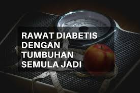 Penyakit kencing manis adalah istilah awam untuk penyakit diabetes. Rawat Diabetis Dengan Tumbuhan Semula Jadi