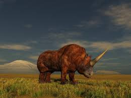 Maybe you would like to learn more about one of these? Existieron Los Unicornios Descubre Como Era El Unicornio Real