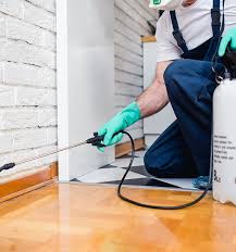 In addition to our residential services, we also provide pest control solutions for offices, factories, schools, hospitals and councils. Pest Control Hertfordshire Hatfield Pest Removal