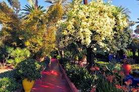 The majorelle garden is a two and half acre botanical garden and artist's landscape garden in marrakech, morocco. Majorelle Garden In Marrakech History Price Opening Time Description