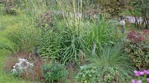 4.4 stars, based on 2985 reviews tags: Flower Power Saisonal Den Garten Verschonern Garten Diybook At