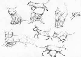 Scopri ricette, idee per la casa, consigli di stile e altre idee da provare. How To Draw A Realistic Cat Step By Step Udemy Blog