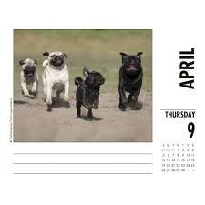Click here and download the dog coloring page and book for kids graphic · window, mac, linux · last updated 2021 · commercial licence included Pugs Desk Calendar Calendars Com