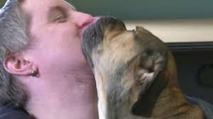 Dog rescued from ice