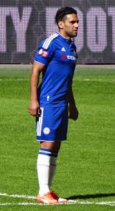 Tout sur radamel falcao : Radamel Falcao Garcia Wikiwand