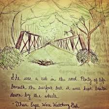Their Eyes Were Watching God Wonder Quotes Essay Questions Love Me Quotes