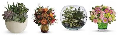 Located at the franklin park mall, talmadge rd. The 8 Best Options For Flower Delivery In Toledo Ohio 2021