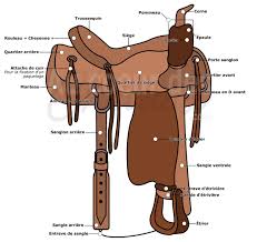 Recapitulatif Des Differentes Parties De La Selle Western Selles Western Selle Cheval Selle Western